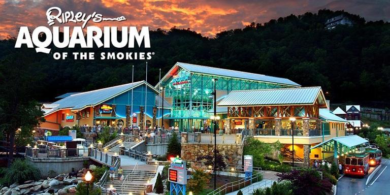 비둘기 포지 Modern Style, Arcade, Fire Pit, Pet Friendly 빌라 외부 사진